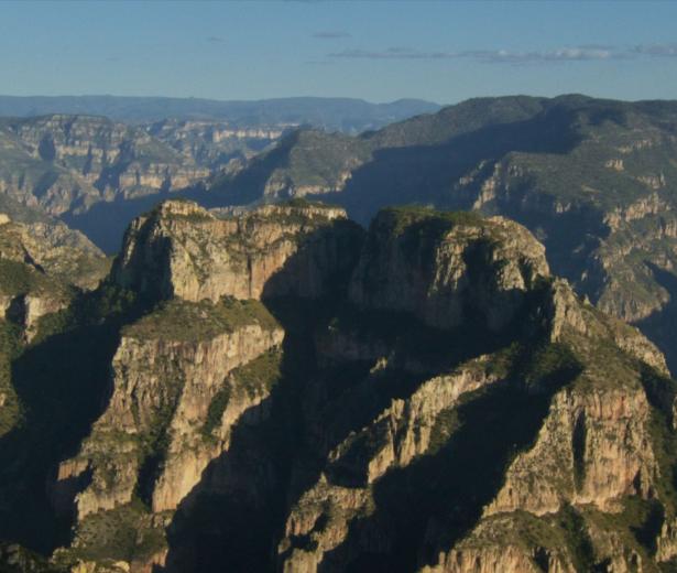 La Garde blanche