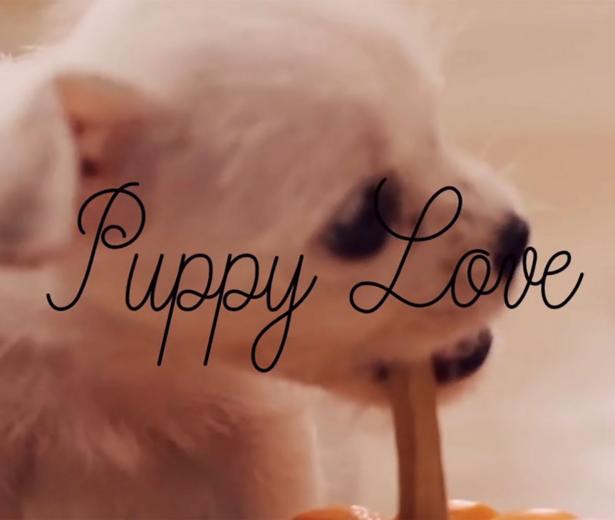 Puppy Love