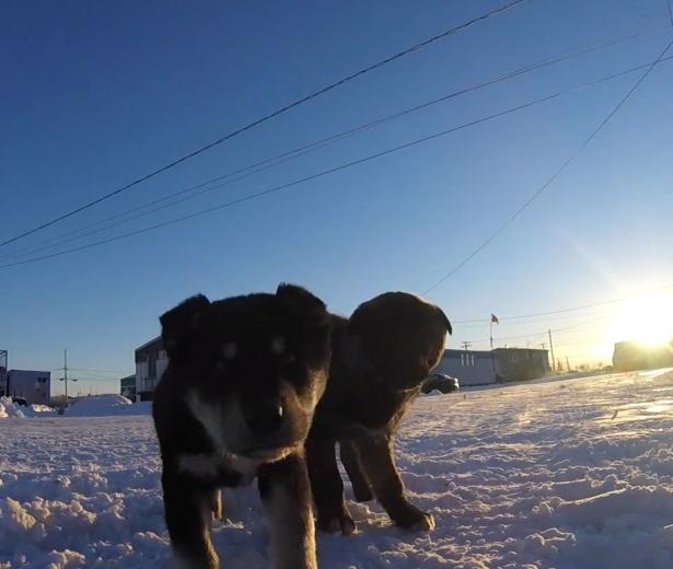 Kuujjuaq